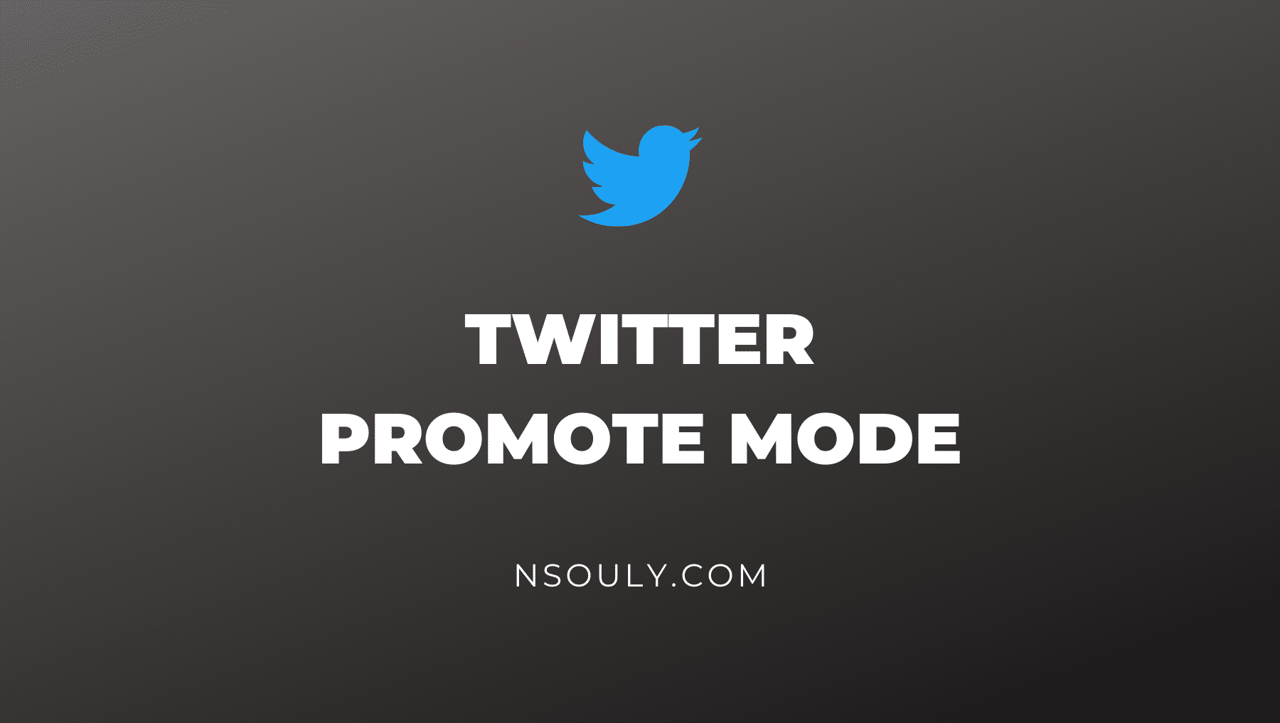 Twitter Promote Mode: The Pros and Cons and Should You Use it?